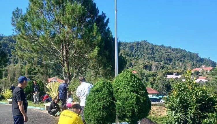 foto slider headline