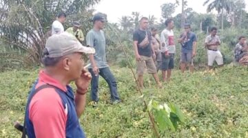 Warga Dua Desa di Kutalimbaru Ungkap Dugaan Intimidasi dalam Sengketa Lahan dengan PT Serdang Hulu