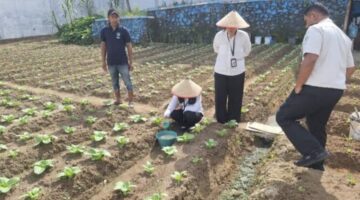 Dukung Ketahanan Pangan, Jajaran Giatja Lapas Narkotika Pematangsiantar Dan Peserta Magang Kemnaker Melaksanakan Pelatihan aplikasi Pupuk Organik Cair dari Sampah Sisa Sayur kepada WBP