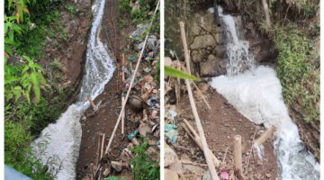 PT Rosin Internasional dan Ujian Penegakan Aturan Lingkungan di Gayo Lues